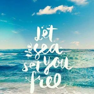 Meet your Posher, Pam